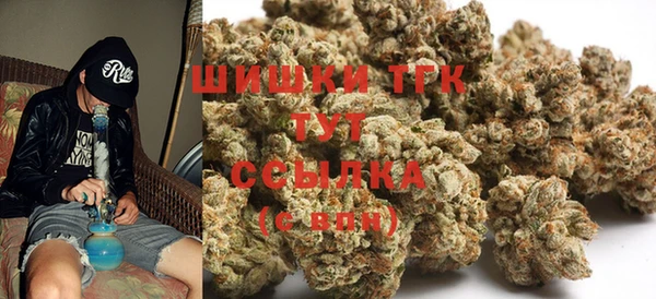 шишки Алексеевка