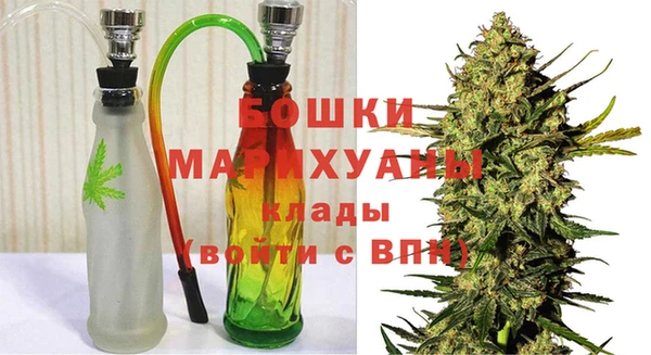 шишки Алексеевка