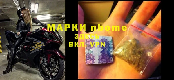 шишки Алзамай