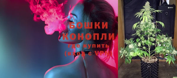 шишки Алзамай